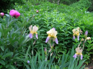 DSCN0486